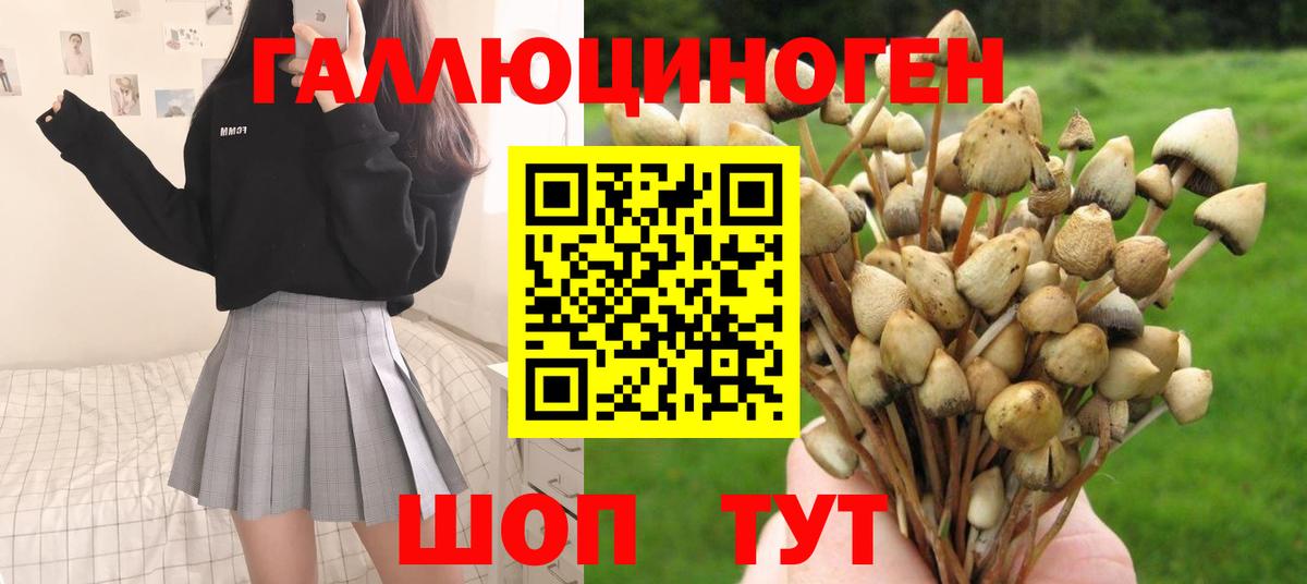Псилоцибиновые грибы мухоморы  Вход с VPN  Назрань 